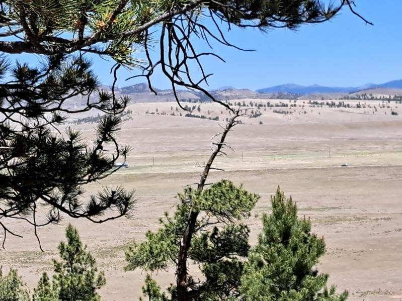 Hartsel, CO 80449,550 Woroka TRL