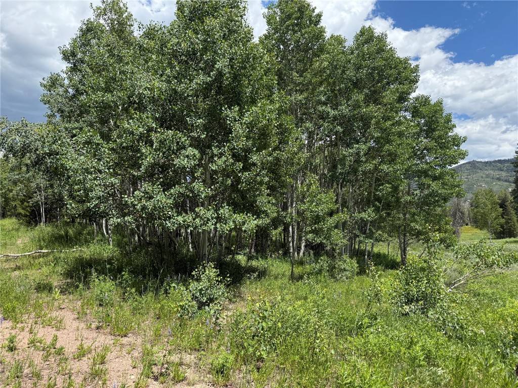 Oak  Creek, CO 80467,21405 Hopi Way