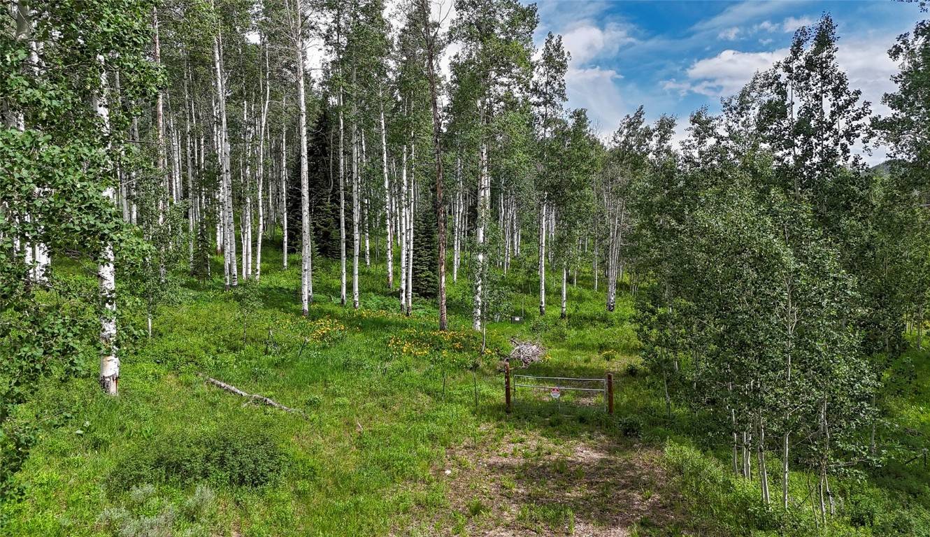 59395 Cripple Creek CT, Clark, CO 80428