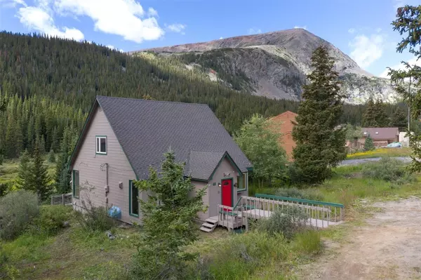 46 McDill RD, Breckenridge, CO 80424
