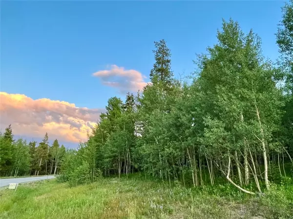 190 Easy Bend TRL, Silverthorne, CO 80498