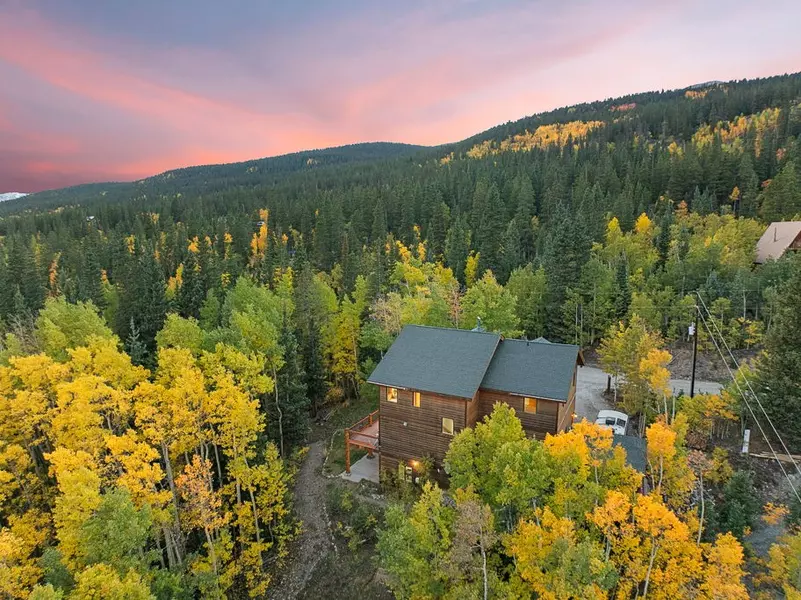 294 Mine Dump RD, Alma, CO 80440