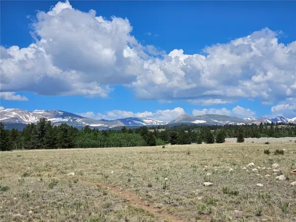 Fairplay, CO 80440,0 Trout Creek DR