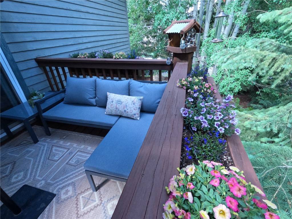 Frisco, CO 80443,928 Lakepoint CIR #B