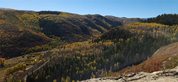 Oak  Creek, CO 80467,19455 County Road 29