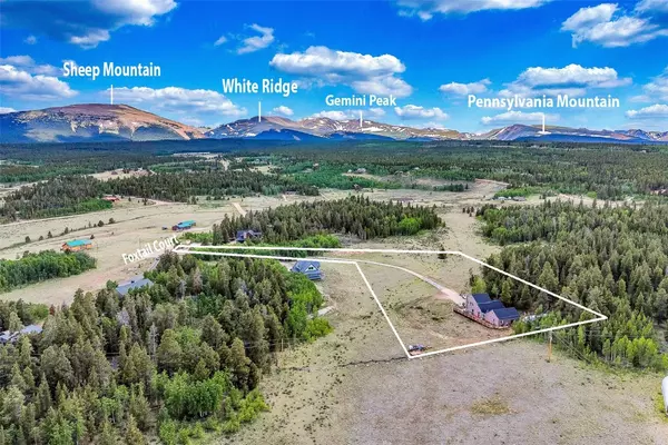 237 Foxtail CT, Fairplay, CO 80440