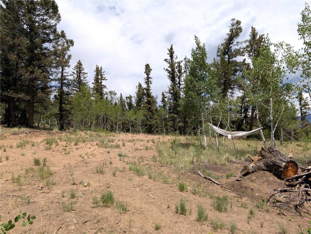Jefferson, CO 80456,463 Cumberland DR