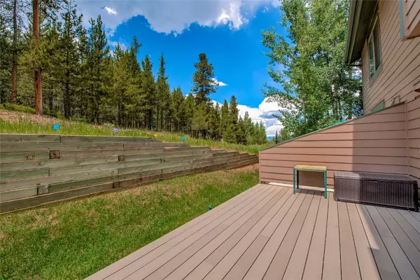 Silverthorne, CO 80498,295 Kestrel LN #295