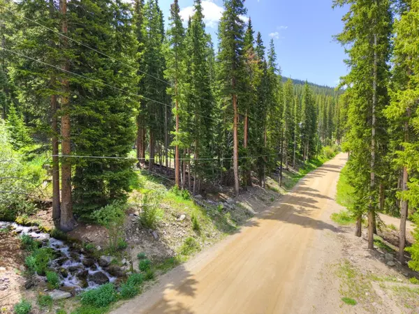 Breckenridge, CO 80424,585 Doris DR