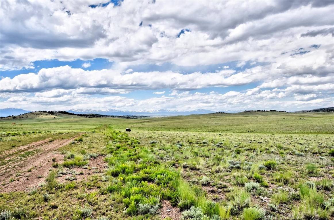 Hartsel, CO 80449,1238 Chicha RD