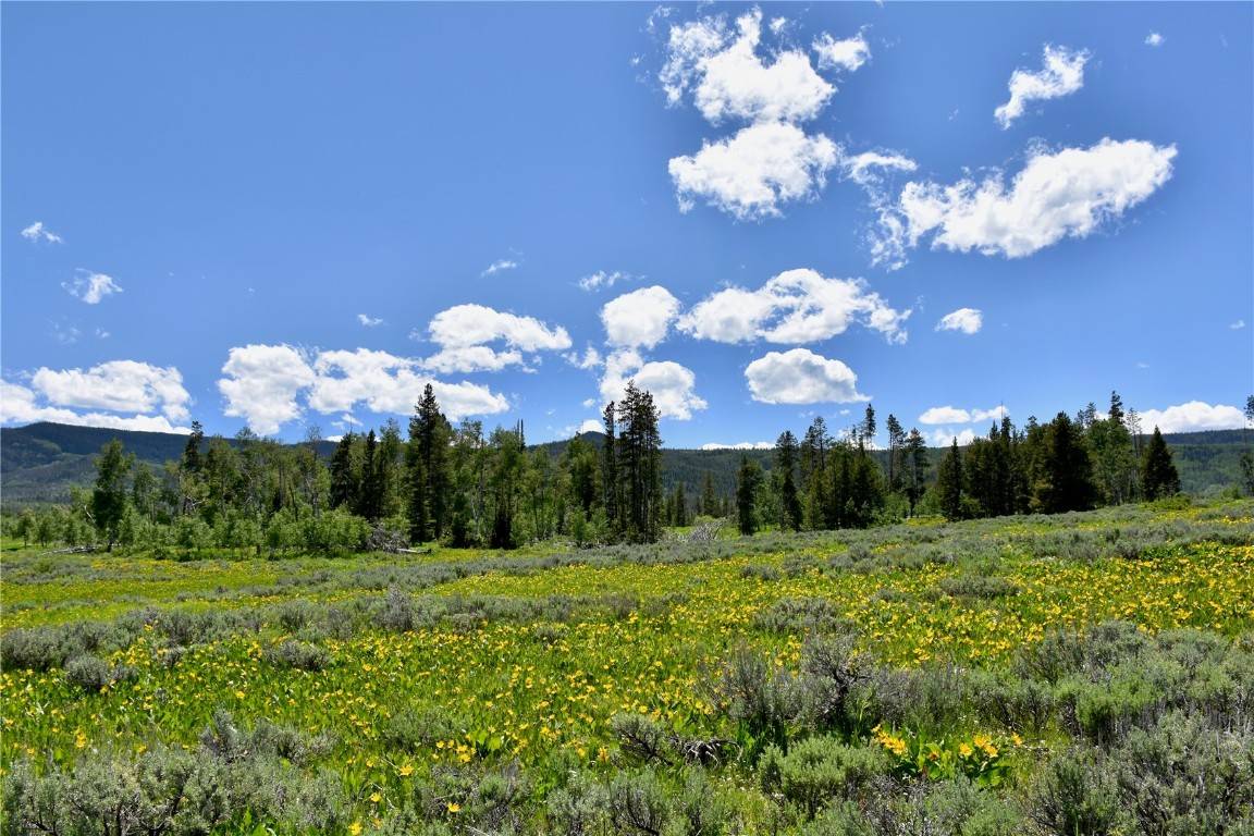 Oak  Creek, CO 80467,194 Halter TRL
