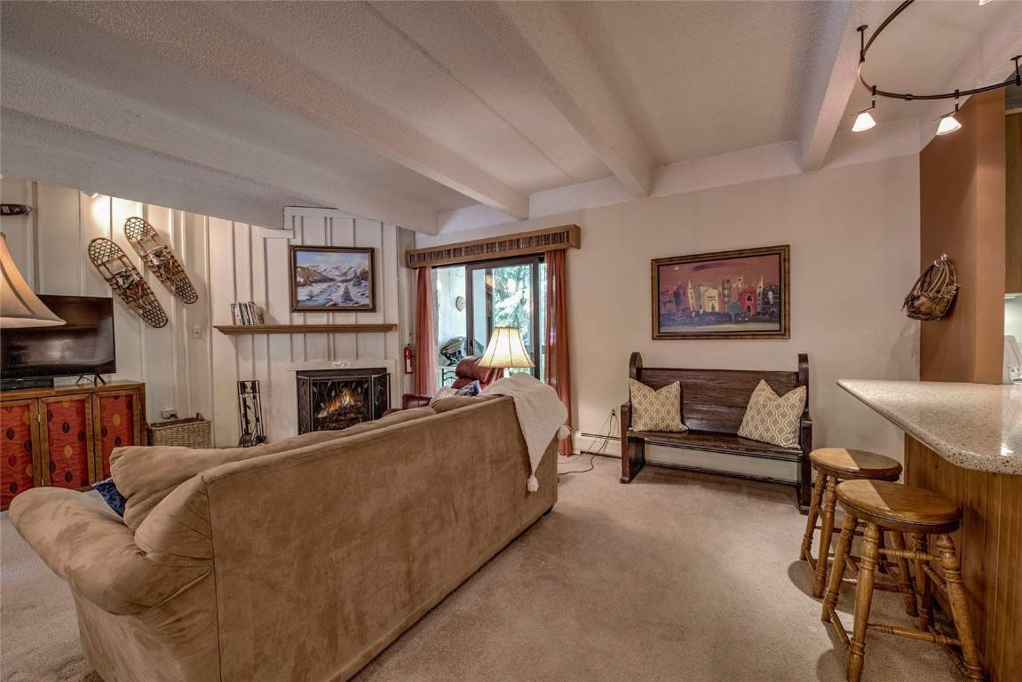 222 Creekside DR #103, Frisco, CO 80443