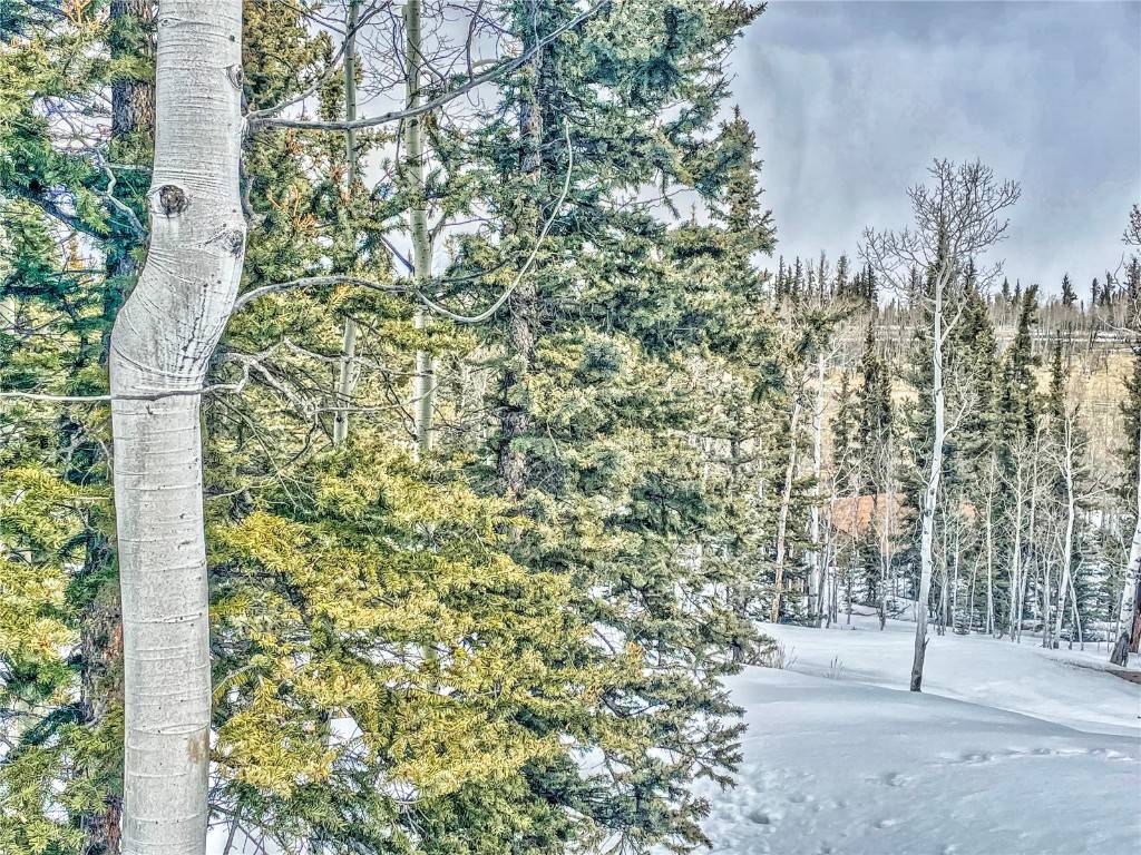 Como, CO 80456,486 Pathfinder RD