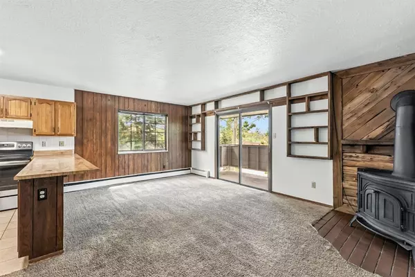 Dillon, CO 80435,675 Straight Creek DR #301