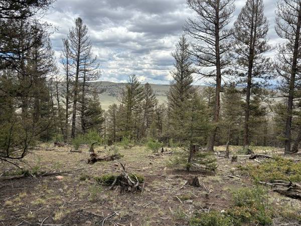 TBD Middle Fork Vista, Fairplay, CO 80440