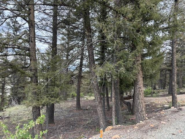 Fairplay, CO 80440,TBD Middle Fork Vista