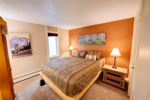 Breckenridge, CO 80424,1100 Ski Hill RD #36