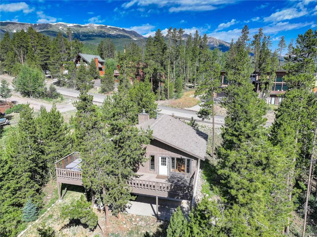 Breckenridge, CO 80424,24 Ski Pole