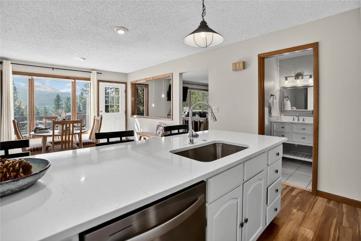 24 Ski Pole, Breckenridge, CO 80424