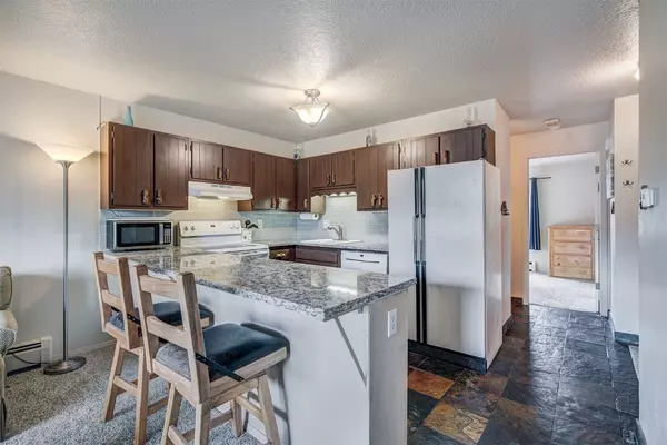 1003 Straight Creek DR #202, Dillon, CO 80435