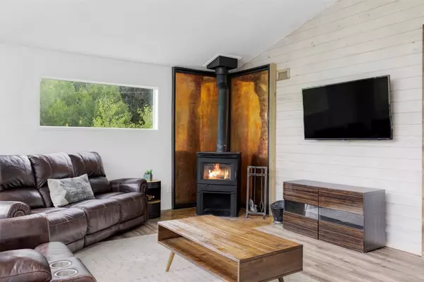 Alma, CO 80440,133 Gold Run RD