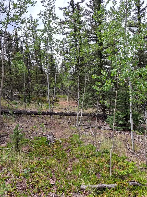 Como, CO 80432,256 Bear WAY