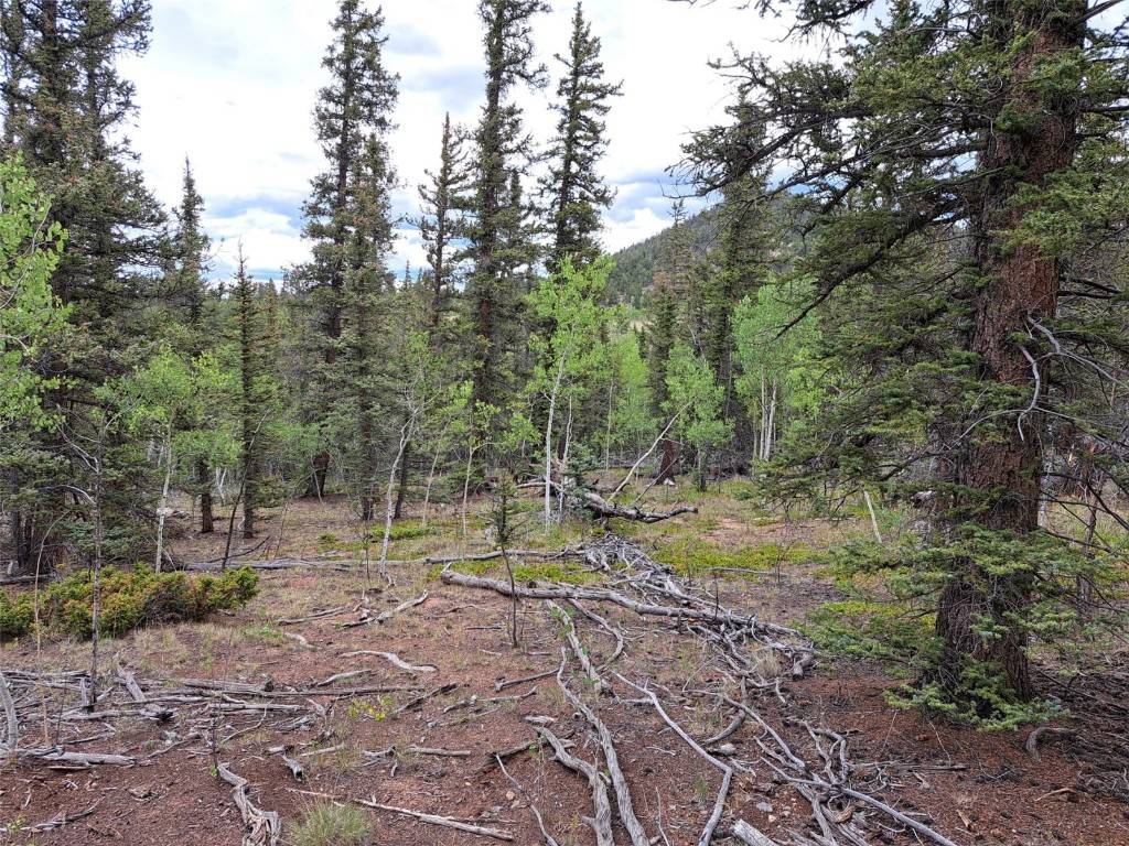 256 Bear WAY, Como, CO 80432
