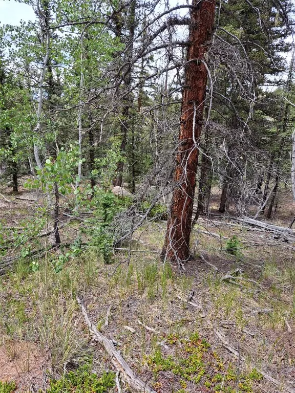 Como, CO 80432,256 Bear WAY