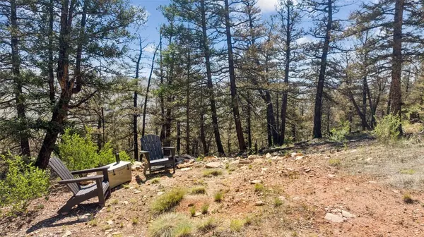 Fairplay, CO 80440,1050 Middle Fork