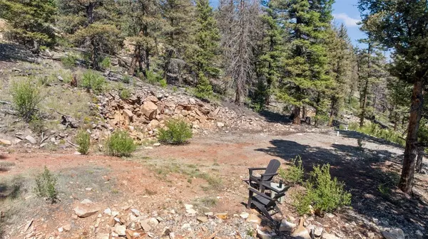 Fairplay, CO 80440,1050 Middle Fork