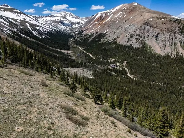 Alma, CO 80420,TBD Forest Service Road 451