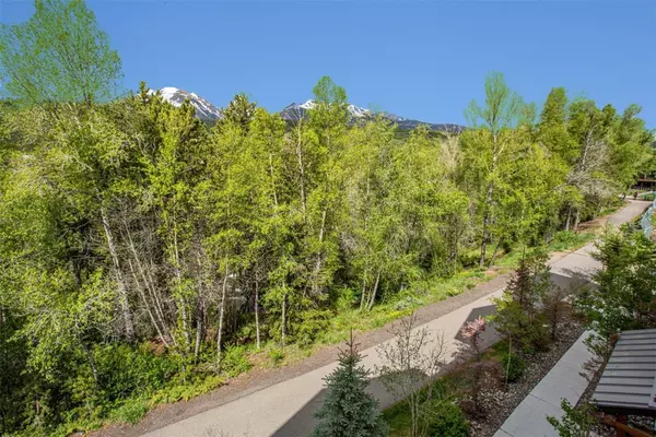 Silverthorne, CO 80498,421 Rainbow DR #2