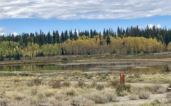 Fairplay, CO 80440,1344 Silverheels RD