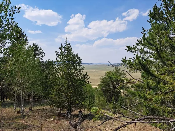 Hartsel, CO 80449,4193 Goldenburg Canyon RD