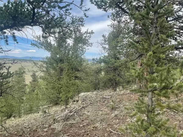 Hartsel, CO 80449,4193 Goldenburg Canyon RD