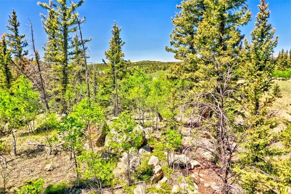 Como, CO 80432,445 Warpath RD