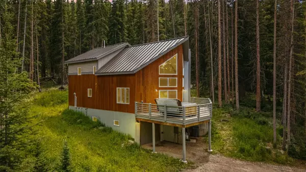 328 CR 535, Breckenridge, CO 80424