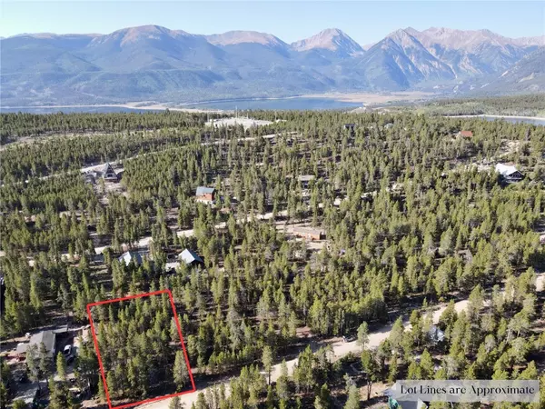 Twin Lakes, CO 80461,776 Birch DR