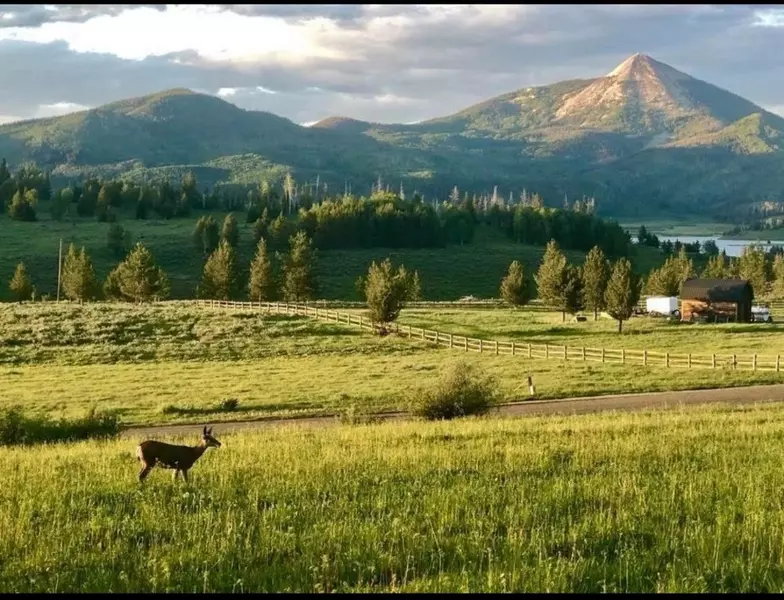 23463 County Road 62, Clark, CO 80428