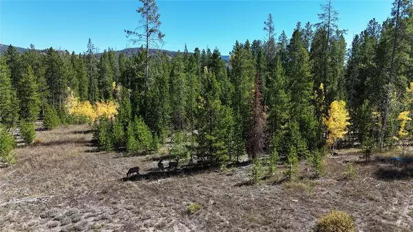 Oak Creek, CO 80467,33335 Appaloosa WAY