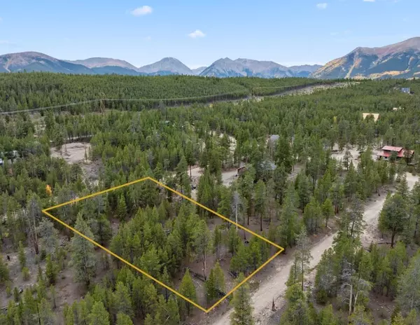 Twin Lakes, CO 80461,416 JUNIPER DR