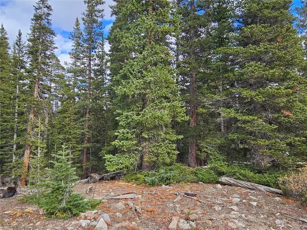 Fairplay, CO 80440,617 Gold Trail CIR