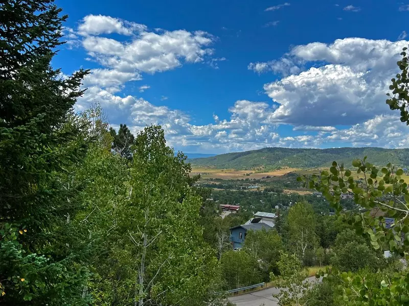 2927 Laurel LN, Steamboat  Springs, CO 80487