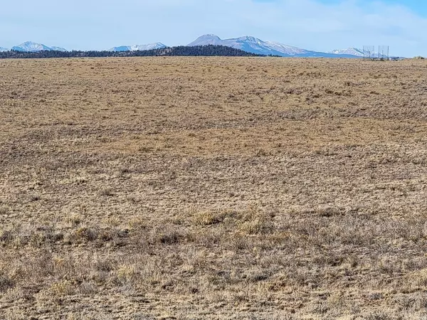 Hartsel, CO 80449,1162 Rocky Mountain RD