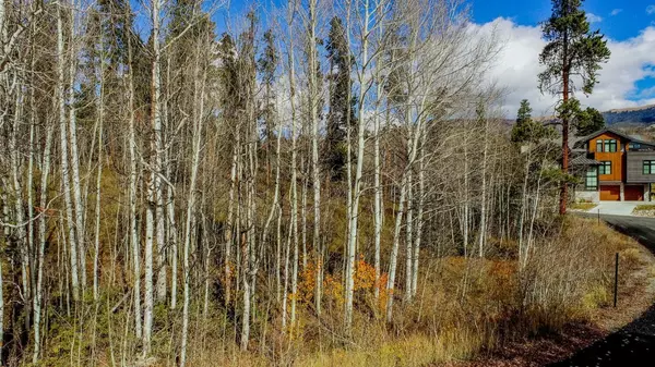 Silverthorne, CO 80498,1650 Falcon CIR