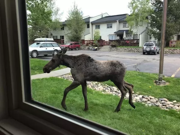 Steamboat Springs, CO 80487,34 Cypress CT #34