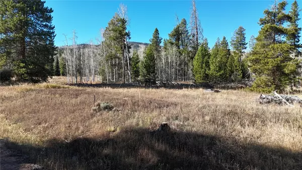 Oak  Creek, CO 80467,22523 Cheyenne TRL