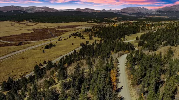 Fairplay, CO 80440,267 Platte River DR