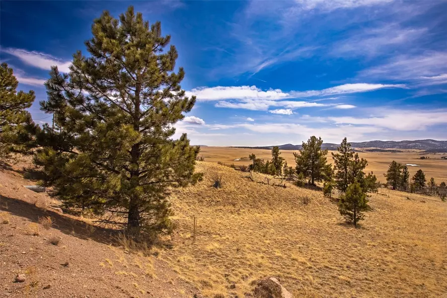 102 Pack Saddle CT, Fairplay, CO 80449