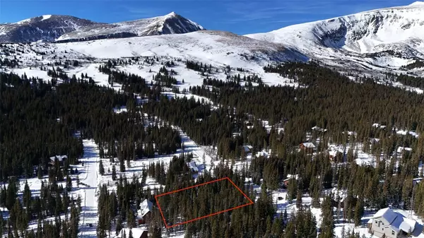 Breckenridge, CO 80424,244 Camron LN